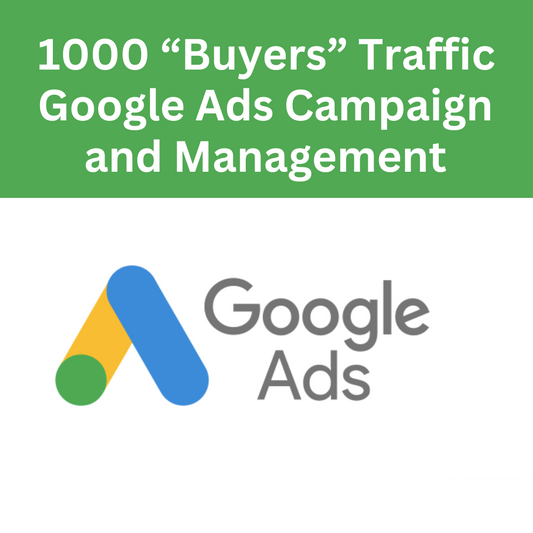 1000 "Buyers" Traffic - Google Ads Campaign and Management
