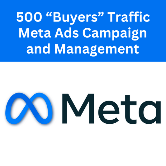 500 "Buyers" Traffic - Facebook Meta Ads Campaign and Management