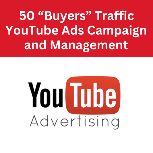 50 "Buyers" Traffic - YouTube Ads Campaign and Management