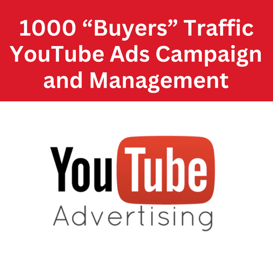 1000 "Buyers" Traffic - YouTube Ads Campaign and Management