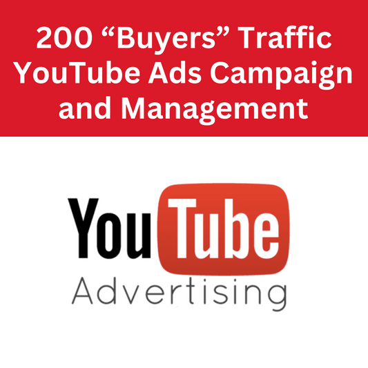 200 "Buyers" Traffic - YouTube Ads Campaign and Management